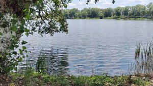 Музыка и звуки природы для медитации.