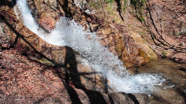 DSC_1532 смотреть онлайн