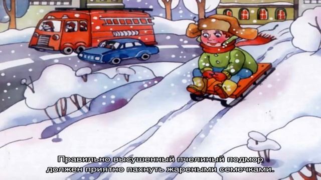 Как хранить подмор