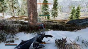 Skyrim SE Dark Souls Combat Skysa 1h animation