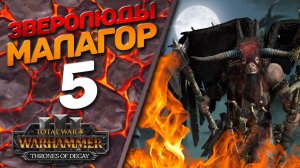 Total War: Warhammer 3 - (Легенда) - Зверолюды | Малагор #5