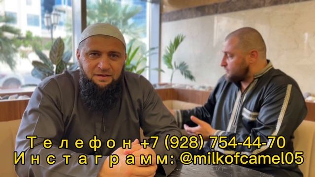 Верблюжье молоко в Дагестане