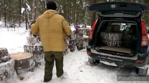 Лиственница,  спилы на дорожку.