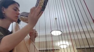 И  С  Бах   Токката и фуга d moll   на Арфе