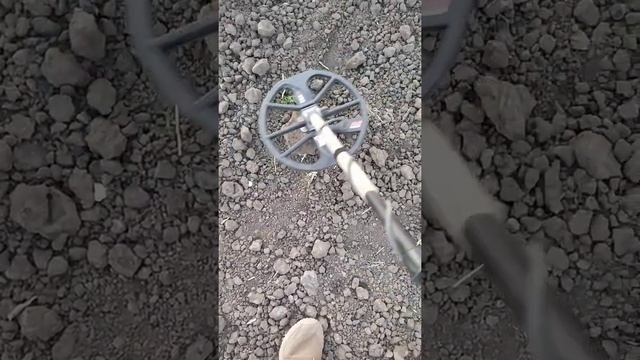 Эквинокс не видит монету!!