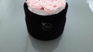 Review Rose Forever New York - Essential Light Pink Round Black Velvet Preserved Roses