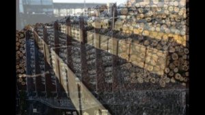 БАМ СТРОЙКА ВЕКА