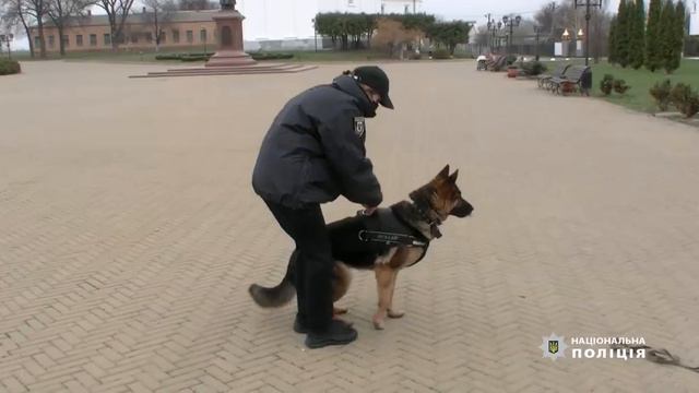 Поліція Чернігівщини змінила принцип організації роботи кінологічної служби