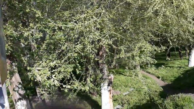 Пешеходный  светофор  на  солнечной  батарее