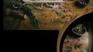 МАГИЯ ЗНАХАРСТВА