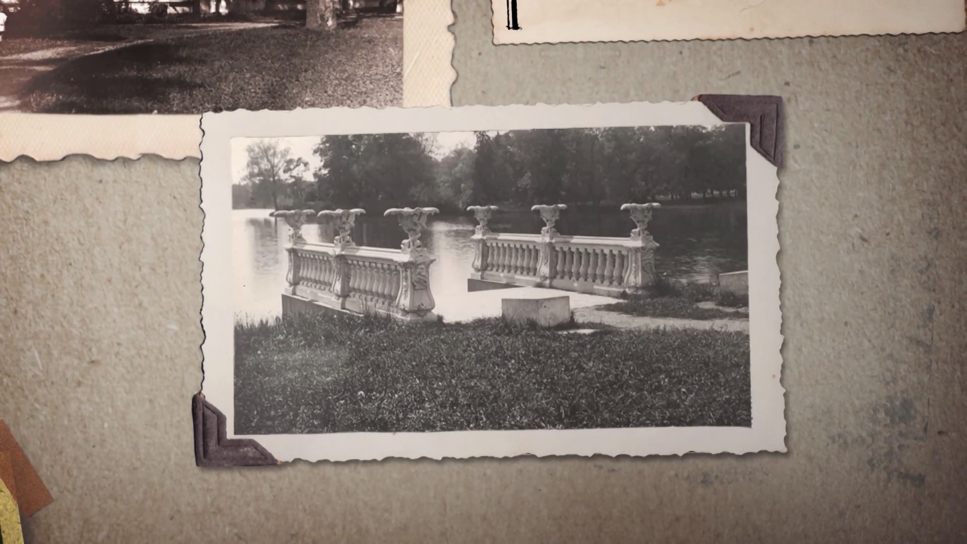 «Царское Село». Музей. 100 лет»