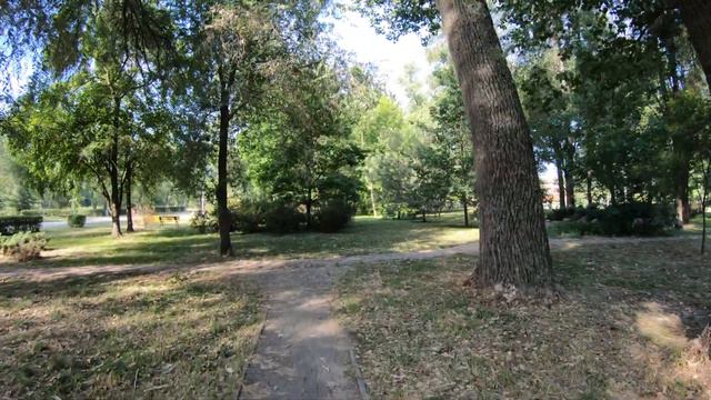 Запорожье обстановка в городе / Кременчуг/Шмыгаль 28.06.2022 смотреть онлайн