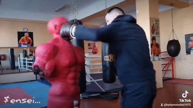 Бокс-видео... смотреть онлайн