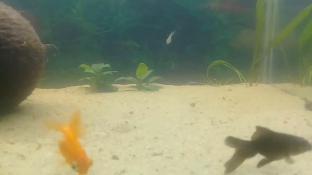 Телескопы смотреть онлайн