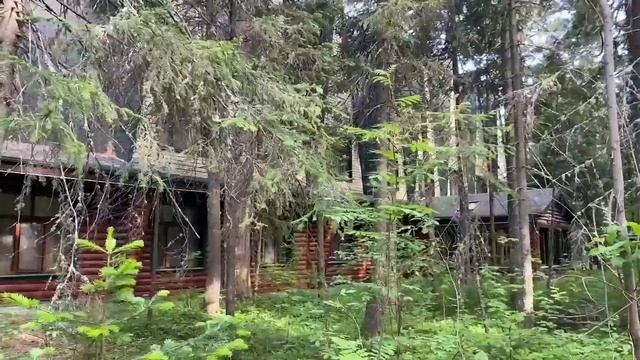 Пешеходная экскурсия "История первой экологической тропы". 17.06.2023