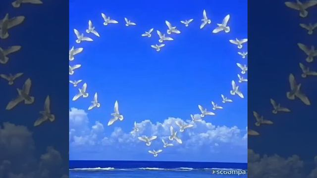 МОЙ МИЛЫЙ ДРУГ В ПУТИ НЕ УНЫВАЙ смотреть онлайн