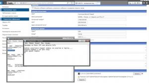 Подача заявки на участие в торгах физическим и юридическим лицом