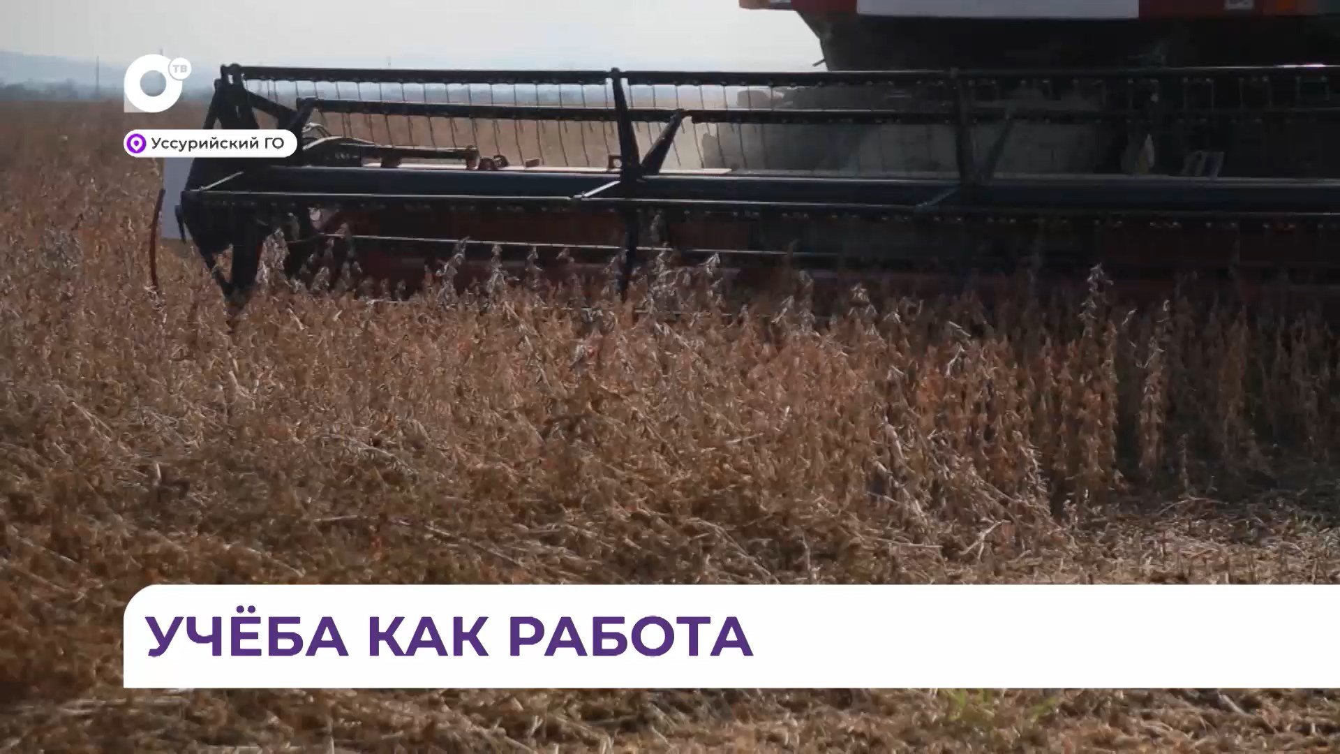 Агропромышленный колледж уссурийск расписание. Агропромышленный колледж уссурийск расписание