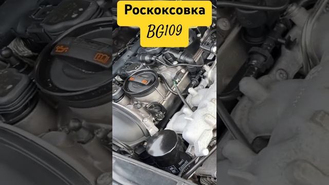 Audi Q5 сдохнет мотор  после раскоксовки BG109???