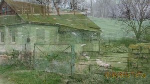 Село Зелёная Нива. Красноперекопский район. Крым.10 апреля 2016 г.