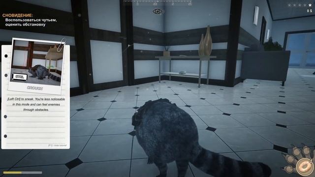 Симулятор Енота #1 Начало. Спасаю лесную семью енотов. Баги Кида в Wanted Raccoon на пурумчата смотреть онлайн