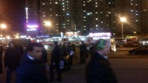 Зелёною весной под старою сосной