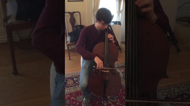 Erik: with Andrea Guarneri cello смотреть онлайн