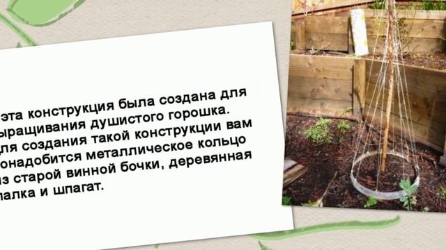 Как сделать опору для вьющихся  растений
