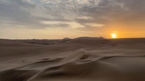 Песчаная буря в парке Паракас, перуанские пингвины и закаты в пустыне!