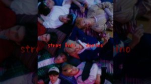 stray kids - domino // speed up♡