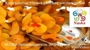 Польза кураги