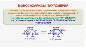 № 130. Органическая химия. Тема 21. Углеводы. Часть 4. Моносахариды. Таутомерия