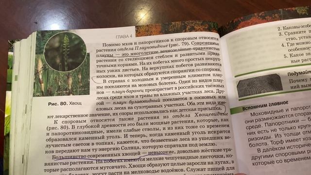 Биология/6 кл/ Разнообразие споровых растений, их значение/18.04.21