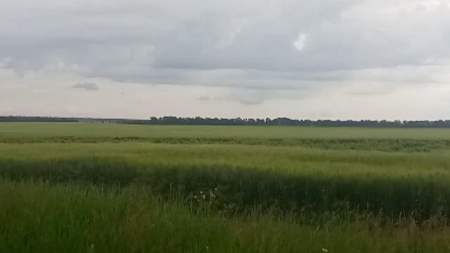 Праздник труб, Восхищение церкви. Пророк Моисей Лушику смотреть онлайн