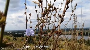 Эдуард Асадов - Вам досталось много лестных слов. Стихи о любви.