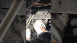 Замена масла в DSG Audi A6 S-tronic DL501 0b5