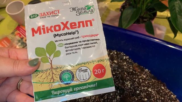 ЗАМЕШИВАЮ ЭКСПЕРИМЕНТАЛЬНЫЙ ГРУНТ: СПАСЁТ ИЛИ УБЬЁТ МОИ РАСТЕНИЯ? | ВИДЕО ДЛЯ РЕЛАКСА смотреть онлайн