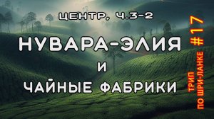 Нувара-Элия: чайные фабрики, где купить чай. Центр Шри-Ланки, часть 3-2. Трип по Шри-Ланке #17