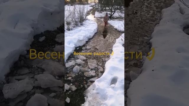 25 марта. Весенние радости в деревне #жизньвдеревне #лужи #жизньлюбовь #жизнь