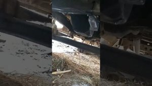 Обзор ГАЗ 52, техника СССР надежна.
