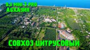 Абхазия над Совхозом Цитрусовый.