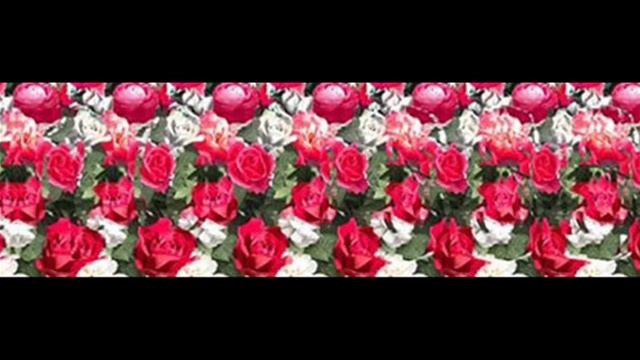 Стереокартинки.  Сборник №2
