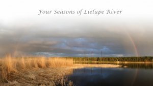 Четыре времени года  на реке Лиелупе