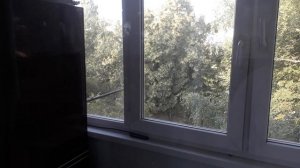 Как отмыть окна без разводов в домашних условиях снаружи и внутри