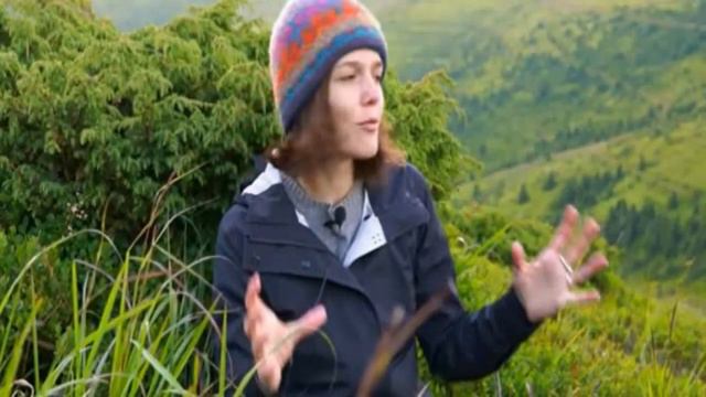 РУС ТИЛИДА КУНДАЛИКДА ИШЛАТИЛАДИГАН ГАПЛАР смотреть онлайн