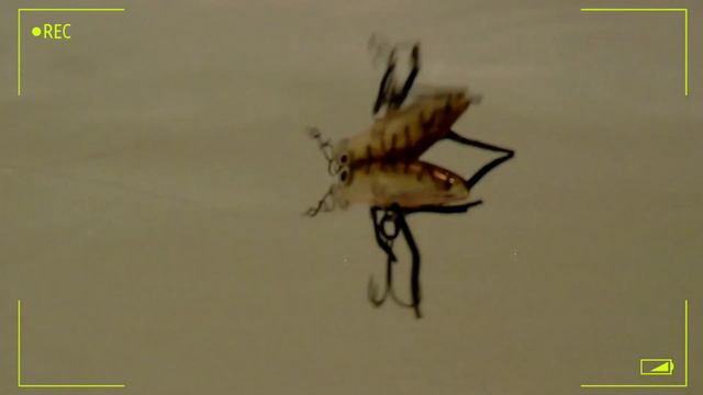 Таракан Baby (вариант №3) смотреть онлайн