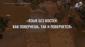 Тамильские пословицы и поговорки, мудрые мысли, цитаты и афоризмы, народная мудрость Тамилов Индии