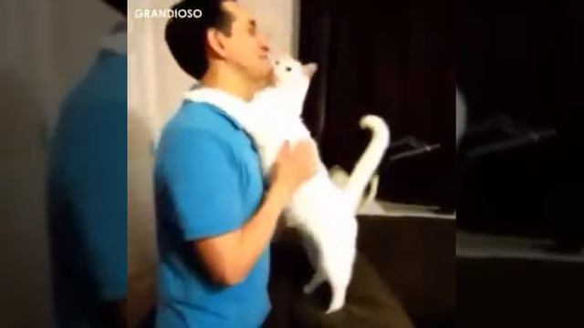 Это невероятно! Любовь животных к людям! Любите их так же!! смотреть онлайн