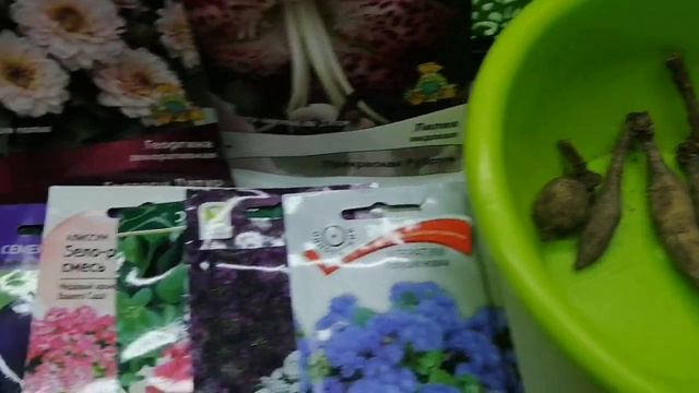 Обзор покупок с Леруа Мерлен!!! Георгины, лилии, семена-цветы,огурцы 2021г. смотреть онлайн