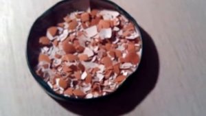 Как сделать кальций для улиток,если нет кофемолки?